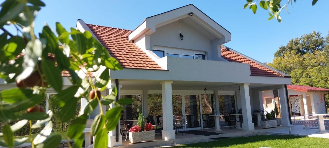 Seosko Domacinstvo Jovanovic Danilovgrad Exterior photo